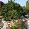 Asbn Magic Garden