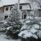 Flora's House
