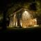 Les Hauts De Saulies photo 14