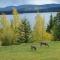 Little Black Bear Lodge/B&B - Bridge Lake