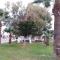 Miltos beach House