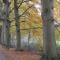 Het Findament Tiny house