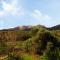 Finca Almendra