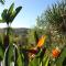 Finca Almendra