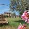 Casetta dell`Uliveto