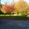 Cavendish Farm
