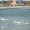 Ostseestern