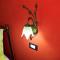 B&B Salotto Di Athena