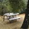 Russian River Camping Resort One-Bedroom Cabin 2 - Cloverdale