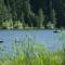 Snowflower Camping Resort Wheelchair Accessible Cottage 8