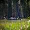 Snowflower Camping Resort Cottage 7