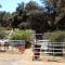 Oakzanita Springs Camping Resort Cabin 2