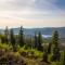 Snowflower Camping Resort Cabin 3