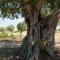 Pensão Agrícola - Cabanas de Tavira