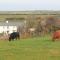 Halfway House Inn
