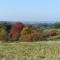 Chalets am National Park Eifel