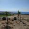 Panoramic Eden