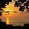 Tree of Life Cabinas - Dominical