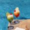 Idou Anfa Hôtel & Spa