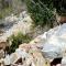 Akasha Mountain Retreat, new location