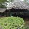 Foto: Omshanty Jungle Lodge 141/193