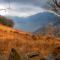 YHA Buttermere - Buttermere