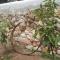 Villino Carolina 30 mt mare