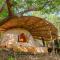 Distant Relatives Ecolodge & Backpackers