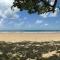 Foto: Daintree Lighthouse View 4/18