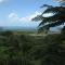 Foto: Daintree Lighthouse View 11/18