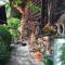 Chalet Rosemarie