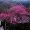 Beppu Showaen