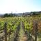 Rancho Cien Piedras - Valle de Guadalupe