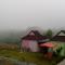 Lovely Farm