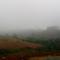 Lovely Farm