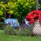 Villa Mare Apartamenty