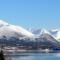 Tindelykke - Isfjorden Tindelykke - Isfjorden