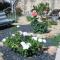 Mas Du Puits photo 14