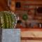Algarrobo Lodge
