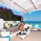 Sorriso Thermae Resort & Spa