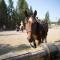 Headwaters Lodge & Cabins at Flagg Ranch