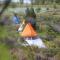 Aldea Tipi: El Molino de Aldebarán