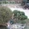 Apartments Davor