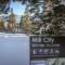Mammoth View Villas 30