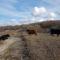 B&B Beach Inn