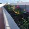 Akel House Hotel