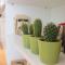 Bright Downtown Apartment