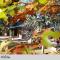 Los Nobles Hostal de Bosque