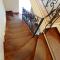 Casa David Comarnic