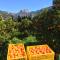 Finca Cas Sant